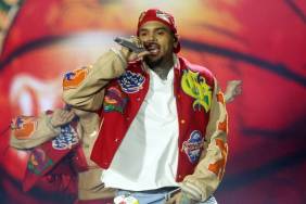 Chris Brown Shares Intimate Photo With Kayla Nicole After Lap Dance