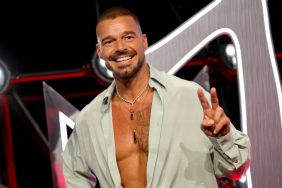 Ricky Martin Net Worth 2025: How Much Money Does He Make?