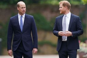 Prince Harry’s UK Engagements Stirring the Pot With Prince William, Insider Claims