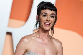 Katy Perry's Floral Sheer Corset Will Make You Look Twice
