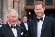 Prince Charles, Prince of Wales and Prince Harry, Duke of Sussex attend the "Our Planet" global premiere at Natural History Museum on April 04, 2019 in London, England.