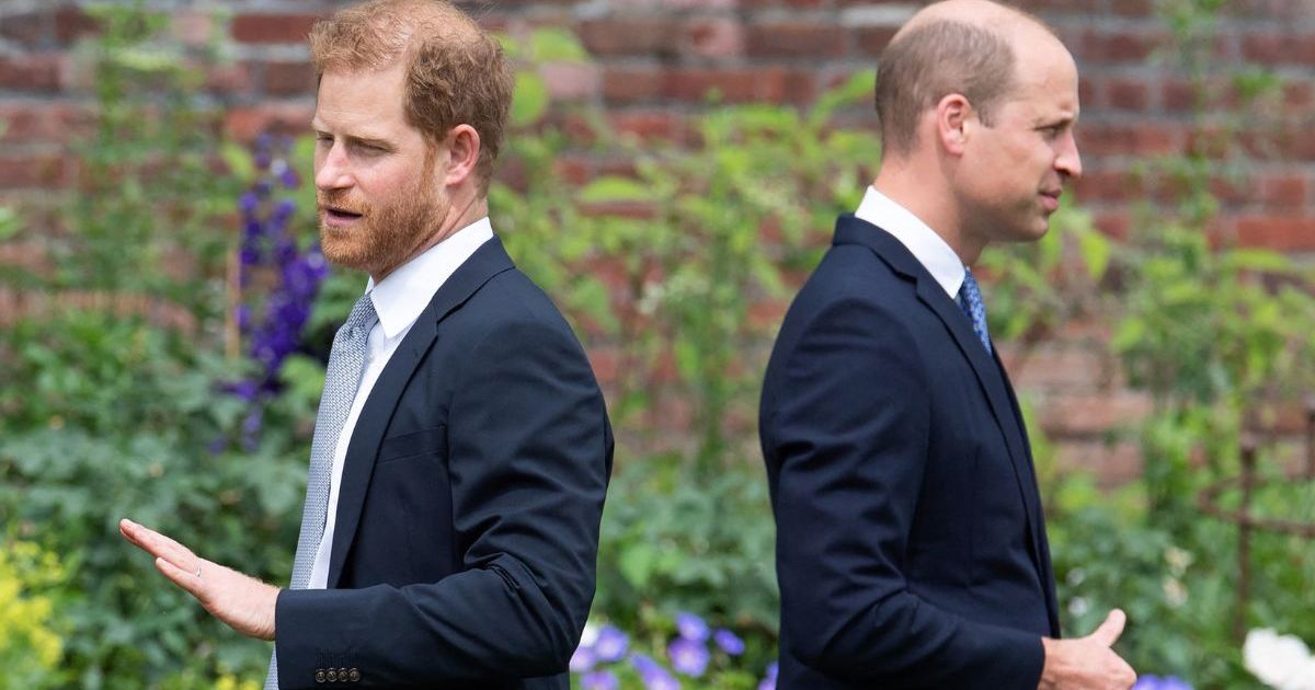 Prince Harry & Prince William 'Still Oceans Apart' With No Reunion Possibility, Source Claims