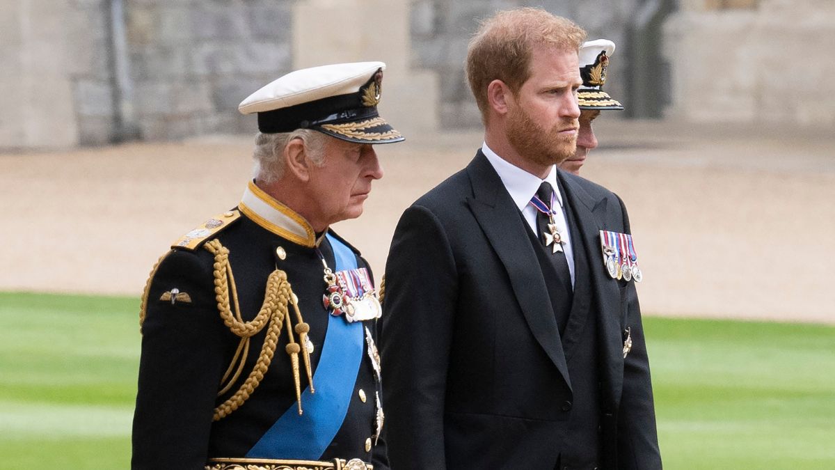 Prince Harry’s Reunion With King Charles on UK Trip Unlikely, Royal