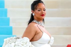 Internet Reacts to Pregnant Rihanna's Sheer Bra Photoshoot: 'Thought It Was Album Cover'
