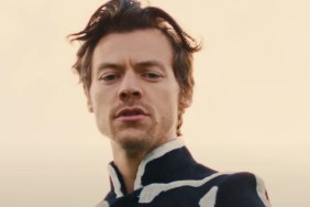 sir dick harry styles secret life