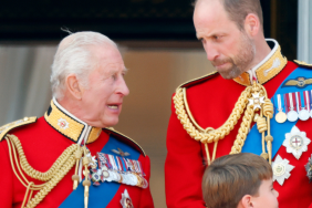 Prince William with King Charles