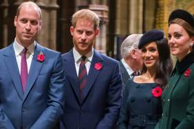 Meghan Markle's Conditions Standing in the Way of Prince Harry & His Family, Says Source