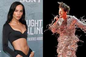 Zoe Kravitz & Harry Styles Are Taking a Big Step During Their Honeymoon Phase, Says Source