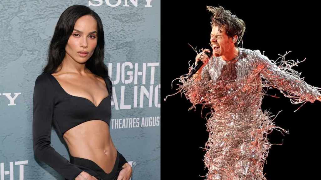Zoe Kravitz & Harry Styles Are Taking a Big Step During Their Honeymoon Phase, Says Source