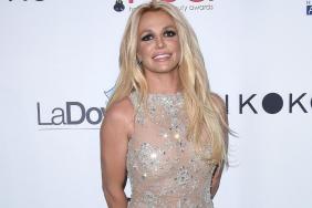 Britney Spears Feels She Is Being ‘Painted as a Bad Mother,’ Says Insider
