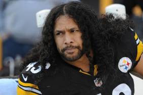 Troy Polamalu