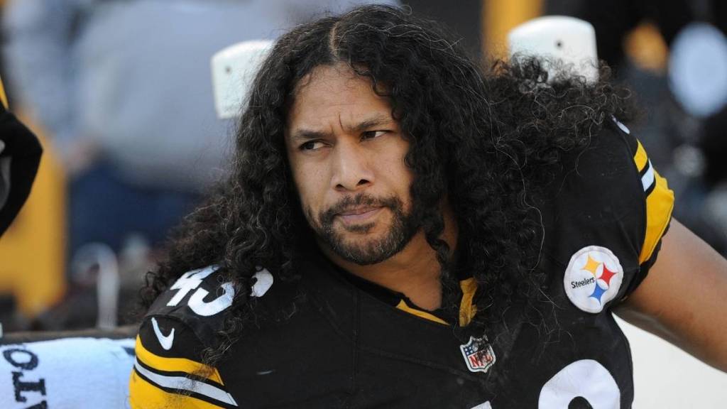 Troy Polamalu