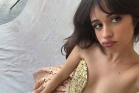 Camila Cabello's Selfie in Strapless Dress Is 'Iconic'