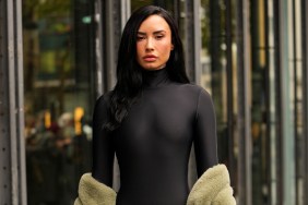 Demi Lovato’s Sheer-Tights Ensemble Sparks Double Takes