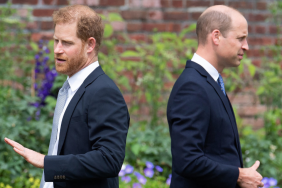 Prince William & Prince Harry's Rivalry Stems From 'Lonely' Childhood, Says Expert
