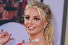 Britney Spears Shows Off Dance Moves in Strapless Polka Dot Dress