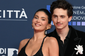 Timothée Chalamet Prioritising Career Over Family Amid Kylie Jenner Relationship, Sources Say