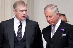 prince andrew king charles