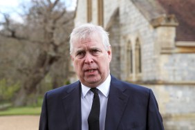Prince Andrew questioning US