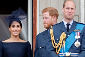 prince william harry meghan