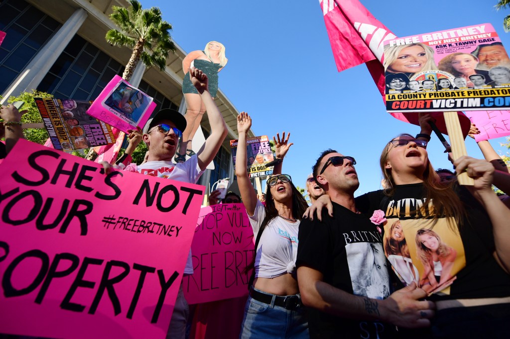 Free Britney protestors