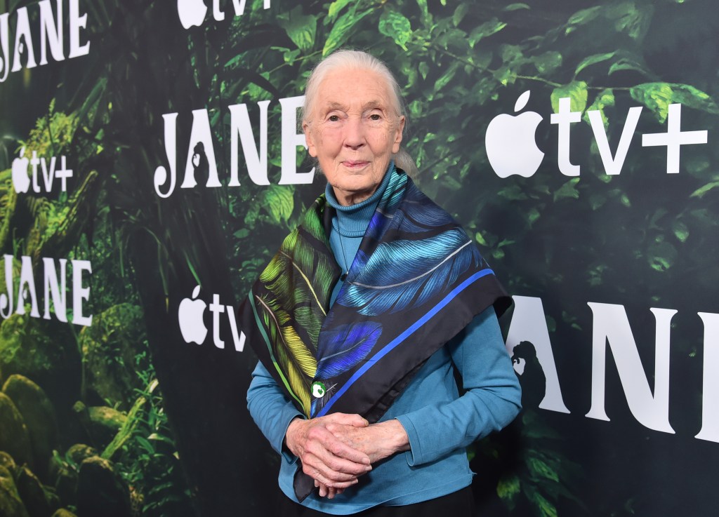 Dr. Jane Goodall