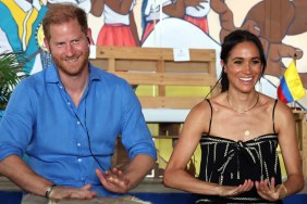 prince harry meghan markle