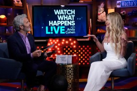Andy Cohen and Kim Zolciak