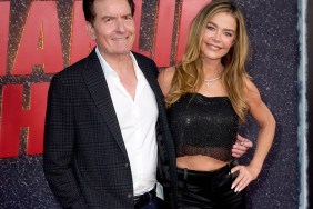 Charlie Sheen and Denise Richards