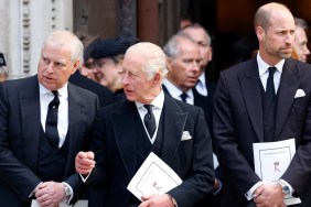 prince andrew king charles