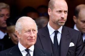 Prince William and King Charles