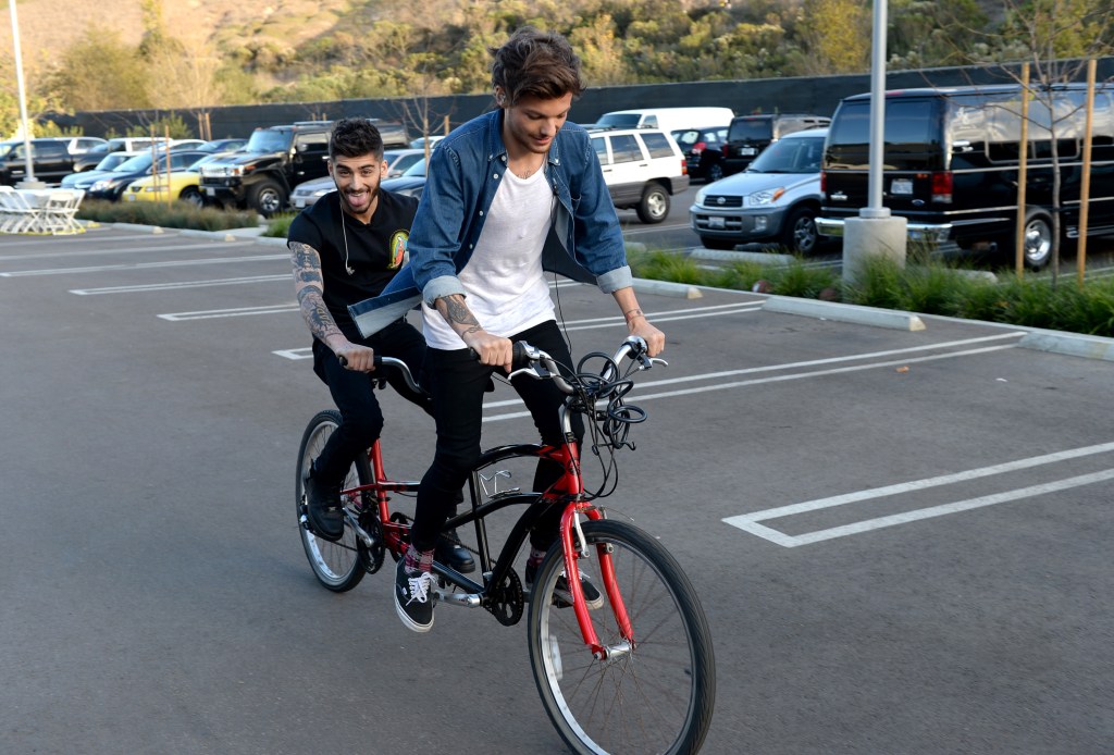Zayn and Louis from One Direction