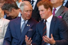 king charles prince harry