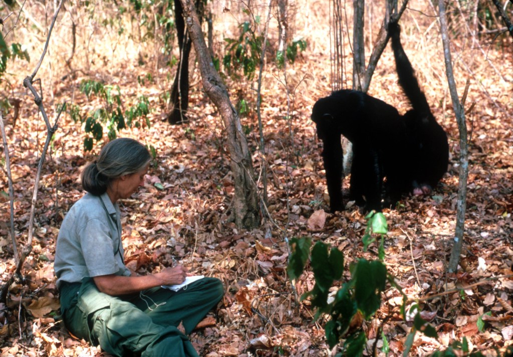 Dr. Jane Goodall