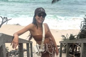 Jessica Alba Turns Heads in Brown Bikini Top