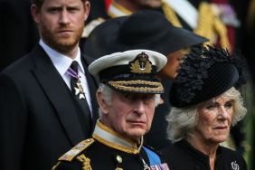 King Charles, Prince Harry and Queen Camilla
