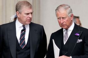 King Charles, Prince Andrew