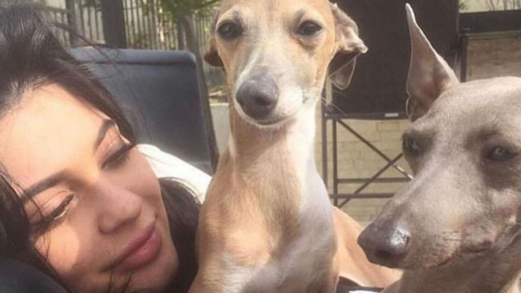 Kylie Jenner's Dog