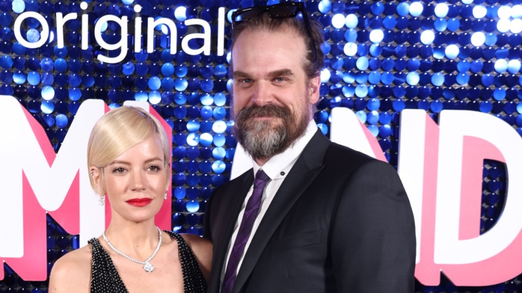 Lily Allen 'Don't Want Revenge' Amid David Harbour Split