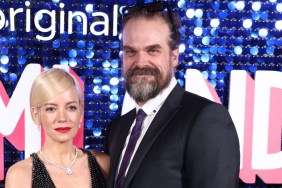 Lily Allen 'Don't Want Revenge' Amid David Harbour Split