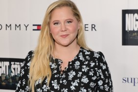 Amy Schumer Shows Off Dramatic Weight Loss Transformation