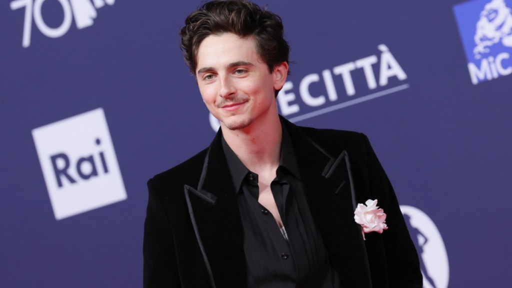 Timothée Chalamet Says Goodbye to Curls, Shows Off New Buzzcut