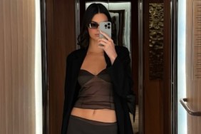 Kendall Jenner Looks 'Stunning' In Sheer Top Look