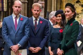 Prince Harry & Meghan Markle, Prince William