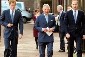Prince William, King Charles, Prince Harry