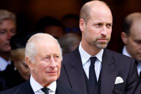 Prince William, King Charles