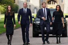 Prince Harry & Meghan Markle Are Prince William's Real Targets — Report