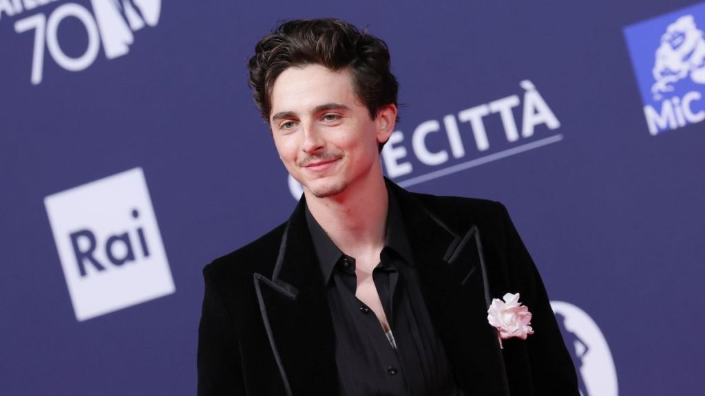 Timothée Chalamet Awarded 'White Boy of the Year' Award