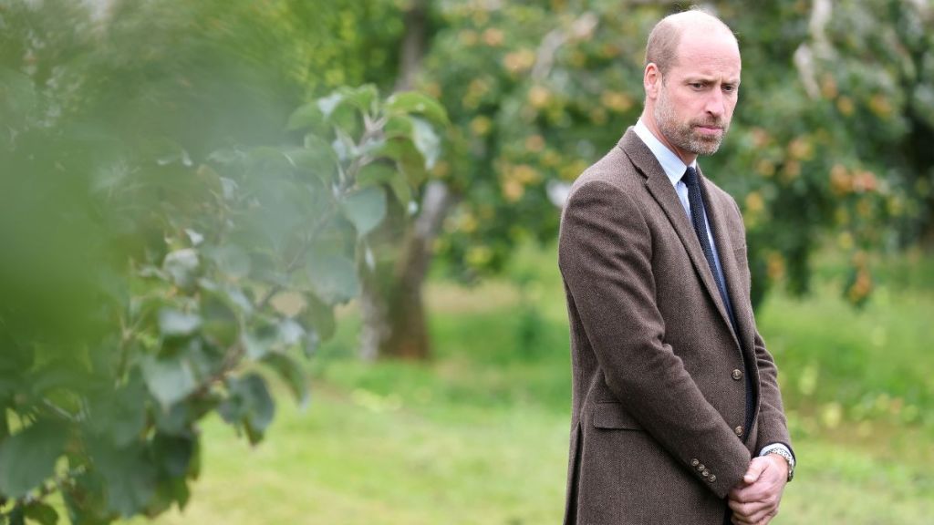 Prince William 'Far More Ruthless' Than King Charles — Expert