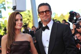 Angelina Jolie Connects Winery to ‘Painful Events’ Leading to Brad Pitt Divorce — Report